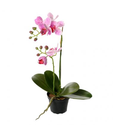 Mr Plant - Konstgjord Phalaenopsis 45 cm Dammiglila , hemmetshjarta.se