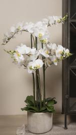 Konstgjord orkidé, vit, 9-grenad H105 cm, i grå keramikkruka , hemmetshjarta.se