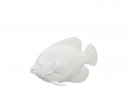 Dekoration Tropisk fisk Deco Hängande Polyresin Vit 44,5x14x30,5 , hemmetshjarta.se
