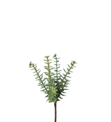 Mr Plant - Konstgjord Succulent 18 cm , hemmetshjarta.se