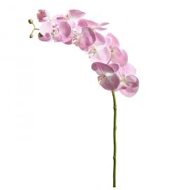 Mr Plant - Konstgjord Orkidéstjälk Phalaenopsis 75 cm , hemmetshjarta.se
