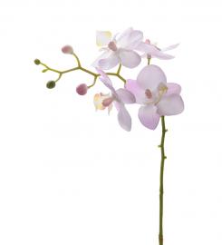 Mr Plant - Konstgjord Orkidéstjälk Phalaenopsis 28 cm , hemmetshjarta.se
