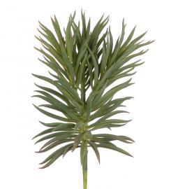 Konstgjord Succulent 24 cm , hemmetshjarta.se