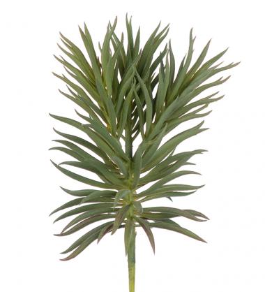 Mr Plant - Konstgjord Succulent 24 cm , hemmetshjarta.se