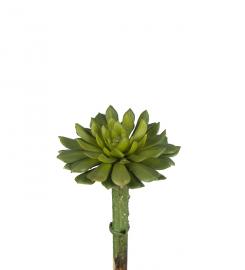 Konstgjord Succulent 10 cm , hemmetshjarta.se