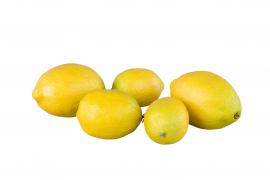 Citron 6-9cm 8-pack , hemmetshjarta.se