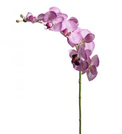 Konstgjord Orkidéstjälk Phalaenopsis 75 cm , hemmetshjarta.se