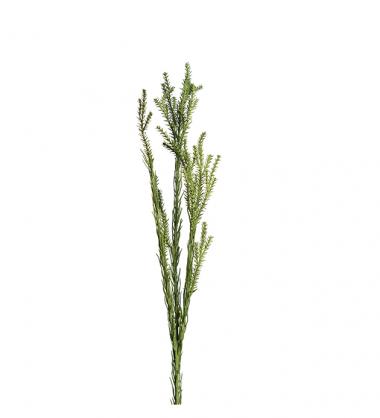 Mr Plant - Konstgjord Kvist 55 cm , hemmetshjarta.se