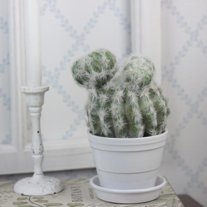 Konstgjord Kaktus 20 cm , hemmetshjarta.se