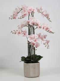 Konstgjord orkidé, 9-gren, rosa H105 cm, i grå keramikkruka , hemmetshjarta.se