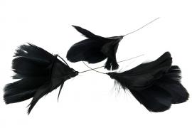 Fjädrar bukett till ris 12-pack - svart , hemmetshjarta.se