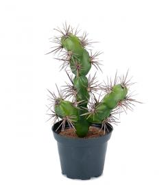 Mr Plant - Konstgjord Kaktus 20 cm , hemmetshjarta.se