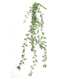 Mr Plant - Konstgjord Senecio 52 cm , hemmetshjarta.se