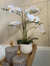 Konstgjord orkidé, vit, 5-grenad H52 cm, i vit kruka , hemmetshjarta.se