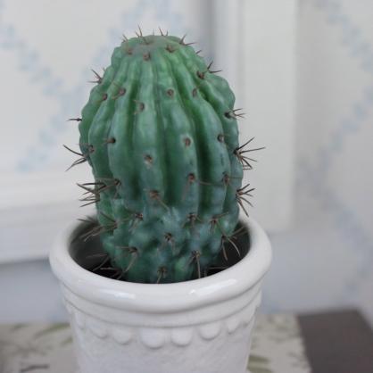 Konstgjord Kaktus 18 cm , hemmetshjarta.se
