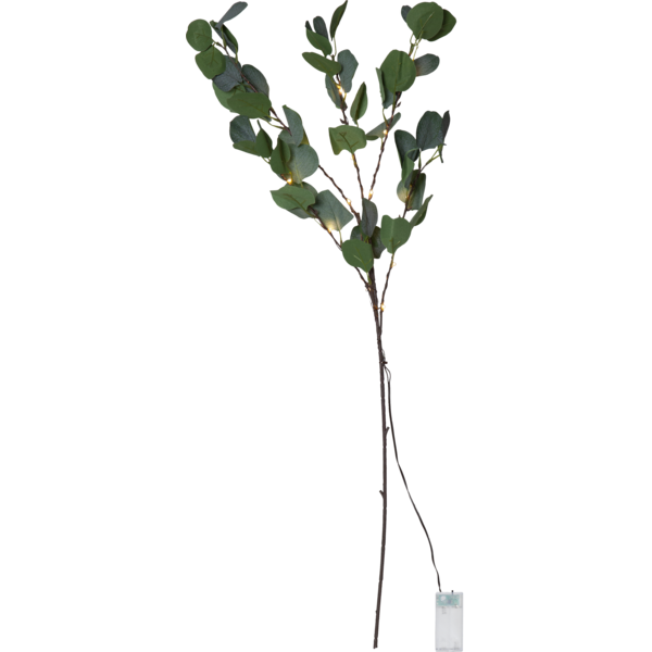 Batteridriven kvist Eucalyptus 90 cm , hemmetshjarta.se