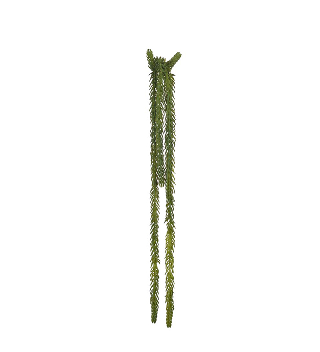 Mr Plant - Konstgjord Succulent 50 cm , hemmetshjarta.se