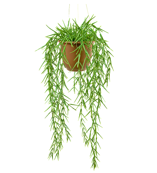 Mr Plant - Konstgjord Hoya 45 cm , hemmetshjarta.se