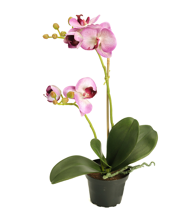 Mr Plant - Konstgjord Phalaenopsis 45 cm Ljuslila , hemmetshjarta.se