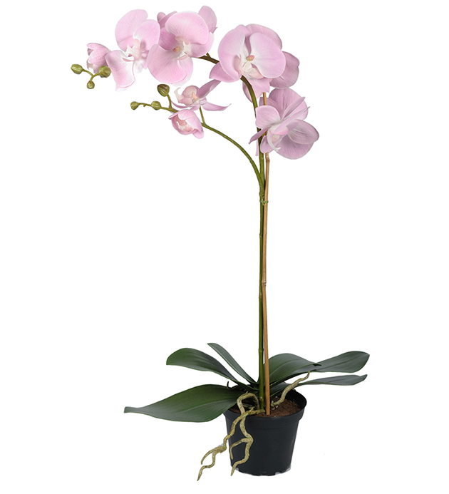 Mr Plant - Konstgjord Phalaenopsis 60 cm Rosa , hemmetshjarta.se