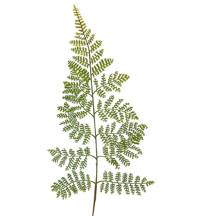 Mr Plant - Konstgjord Ormbunksblad 60 cm , hemmetshjarta.se