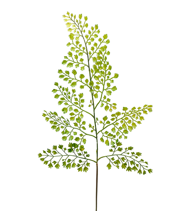 Mr Plant - Konstgjord Adiantum blad 60 cm , hemmetshjarta.se