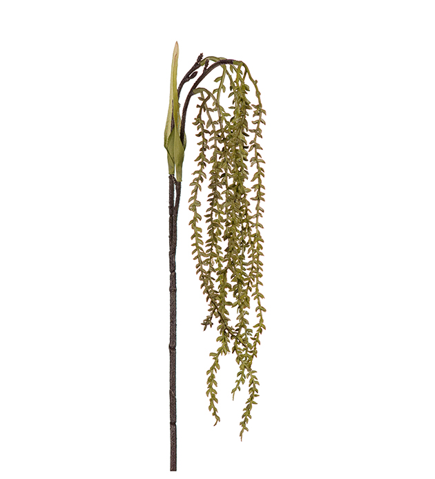 Mr Plant - Konstgjord Succulent 35 cm , hemmetshjarta.se