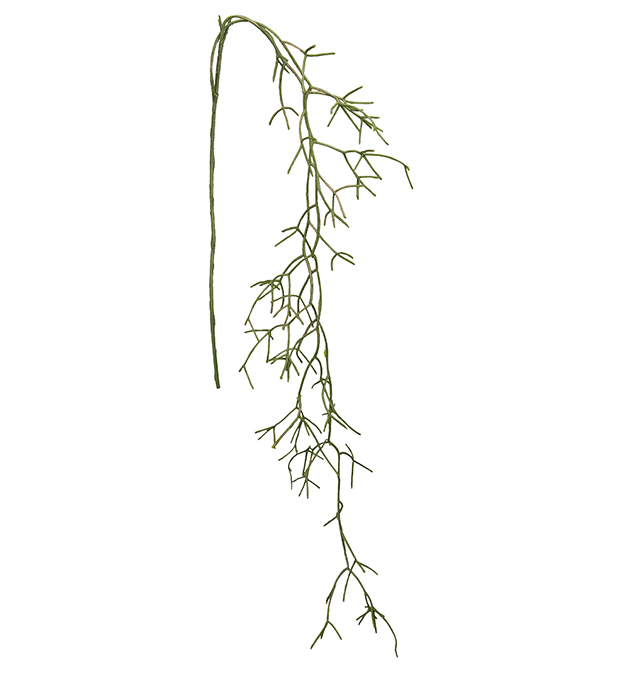 Mr Plant - Konstgjord Rhipsalis. 130cm , hemmetshjarta.se