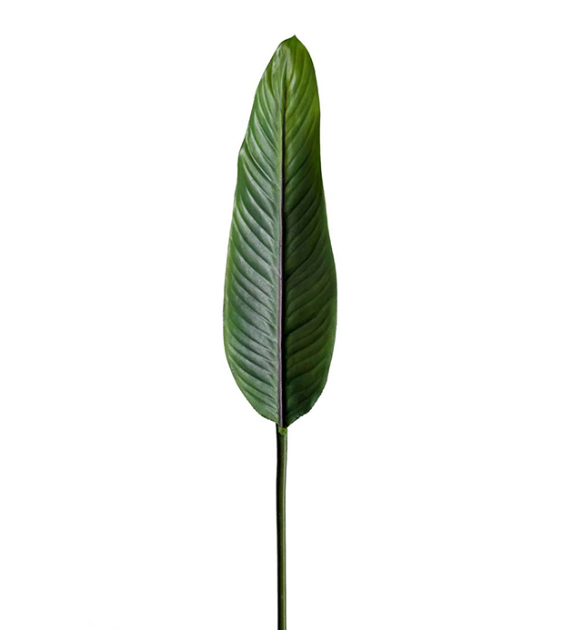 Mr Plant - Konstgjord Strelitzia blad 80 cm , hemmetshjarta.se